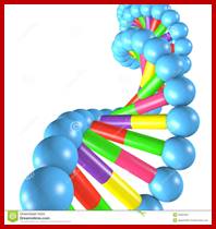 Image result for white ball Z DNA helix model