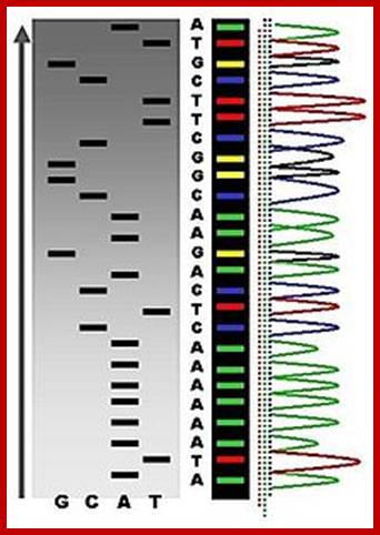 Image result for DNA sequencer