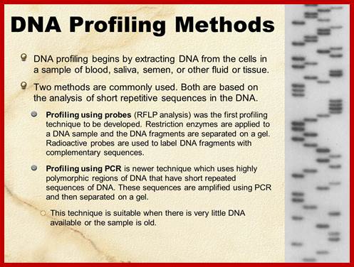 Image result for PCR used for DNA profiling