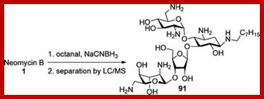 Image result for Structure of Neomycin and how it acts biochemically