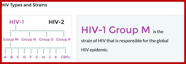 HIV types and strains