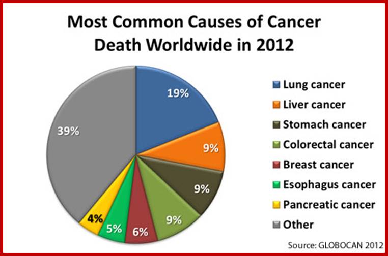 Description: Pie chart showing the most common causes of cancer death worldwide in 2012