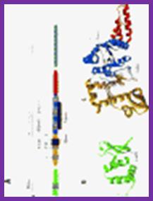http://www.annualreviews.org/na101/home/literatum/publisher/ar/journals/content/biochem/2001/biochem.2001.70.issue-1/annurev.biochem.70.1.39/production/images/small/bi70_0039_6.gif