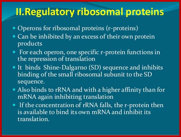 Image result for RibosomaL PROTEIN OPERONS