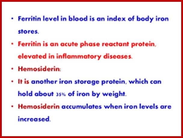 Image result for ferritin stores iron
